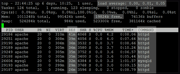 Apache Processes shown using Linux' Top command