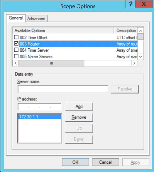 Windows DHCP Scope Options