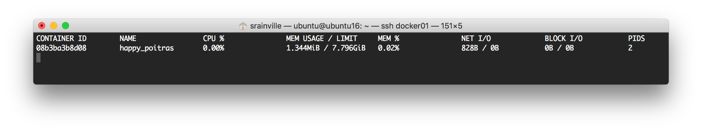 Docker stats output