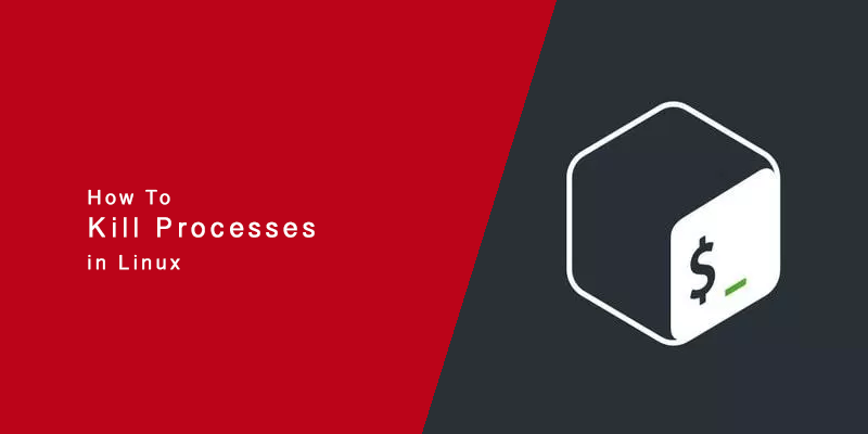 How to Kill Linux Processes